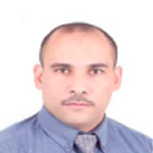 Professor  Hala Zreiqat